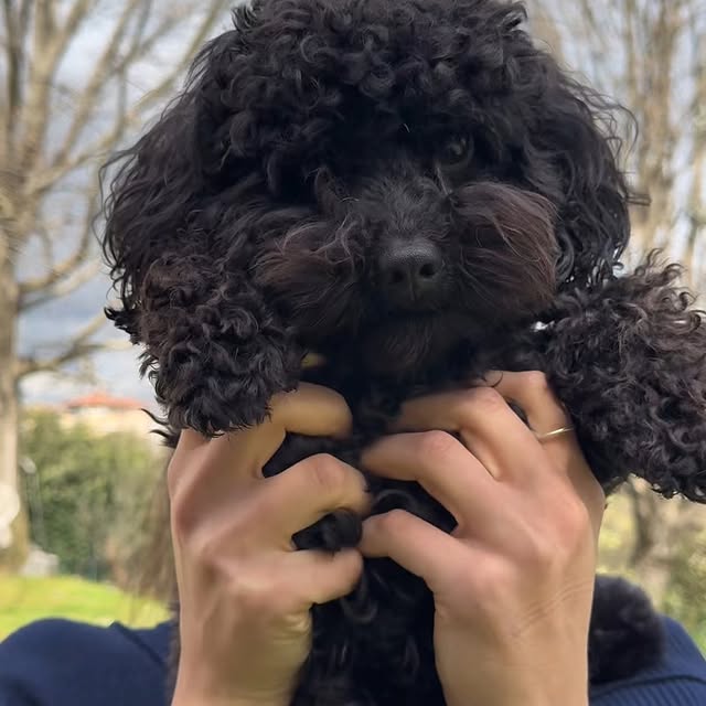 Anteprima Instagram delle attività di gruppo al Bio&B Italyke